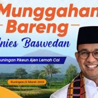 Anies Baswredsan